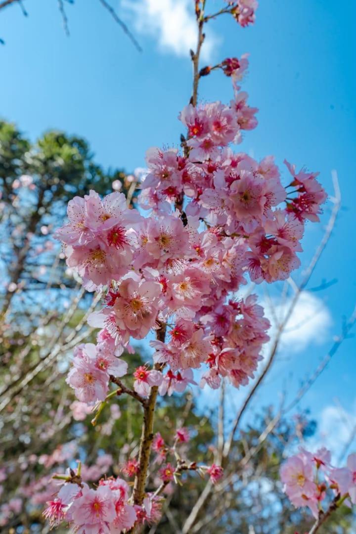 Aventoriba Campo de férias *