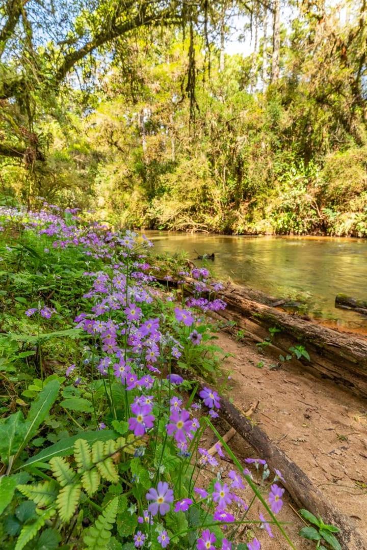 Aventoriba Campo de férias